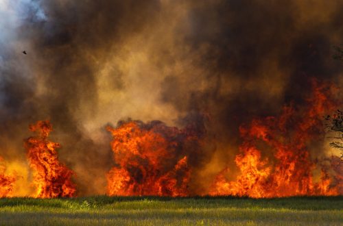 fire season