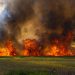 fire season